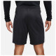 Nike Ανδρικό σορτς Dri-FIT Academy Soccer Shorts
